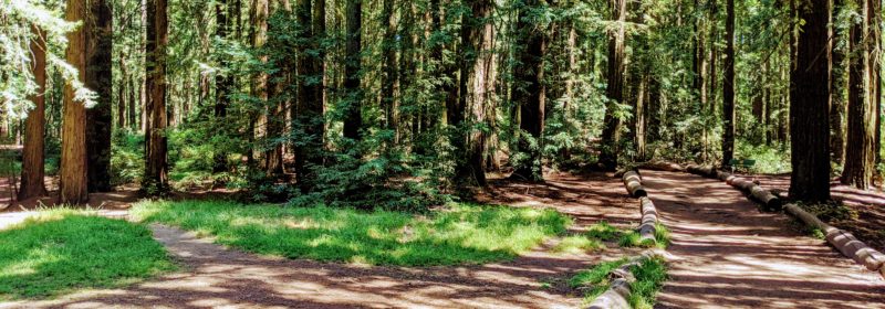 Comparing MongoDB MQL with N1QL features in Couchbase 6.5
